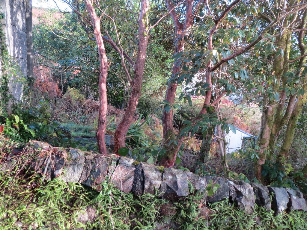 Elmbank Garden Apartment Oban Cameră foto